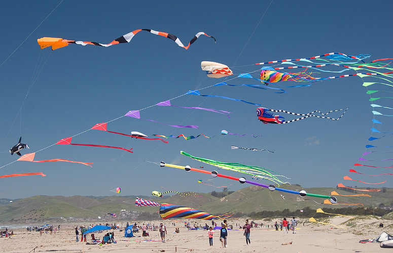Morro Bay CA Kite Festival Callahan Photographics